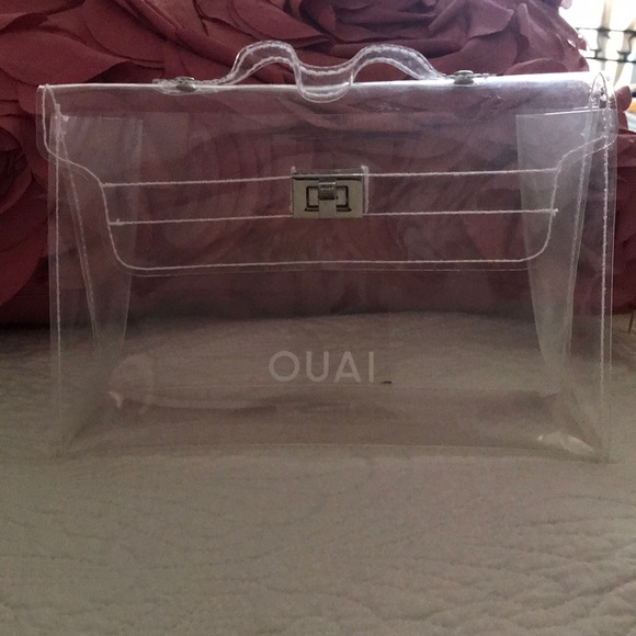 mini clear purse